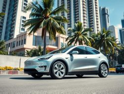 Tesla Model Y Rilis di Indonesia: Fitur dan Spesifikasi Terbaru